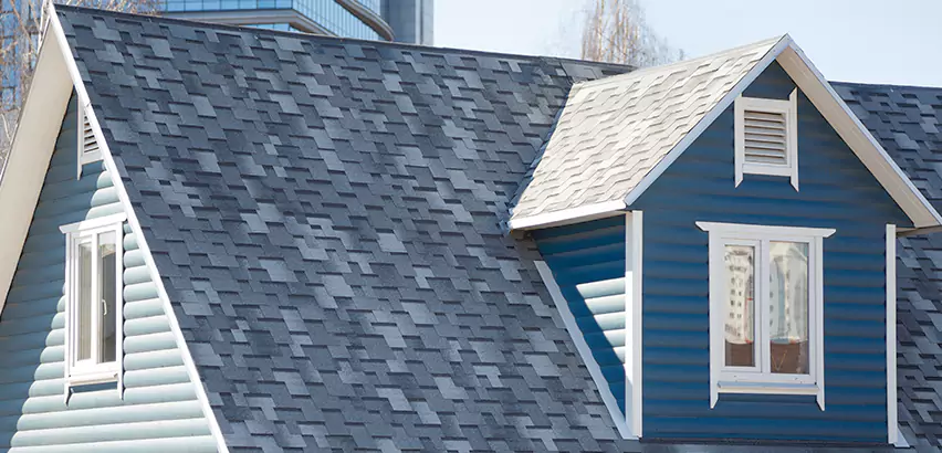 Shingle Roof Maintenance in Highland Park